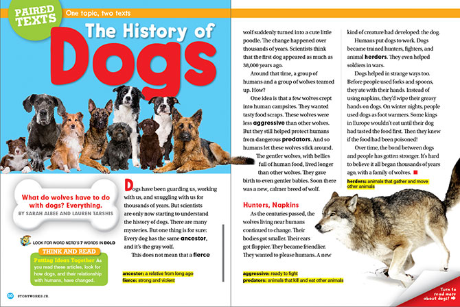 what is the history of dogs