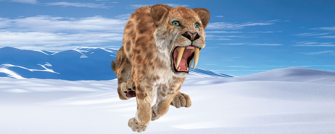 saber tooth tiger frozen