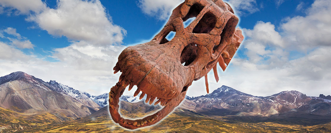 a dinosaur skull in front of mountains 
