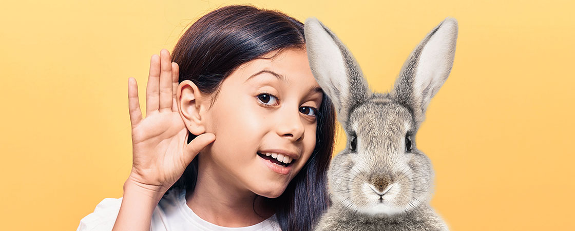 Bendy Bunny Ears - Set of 2