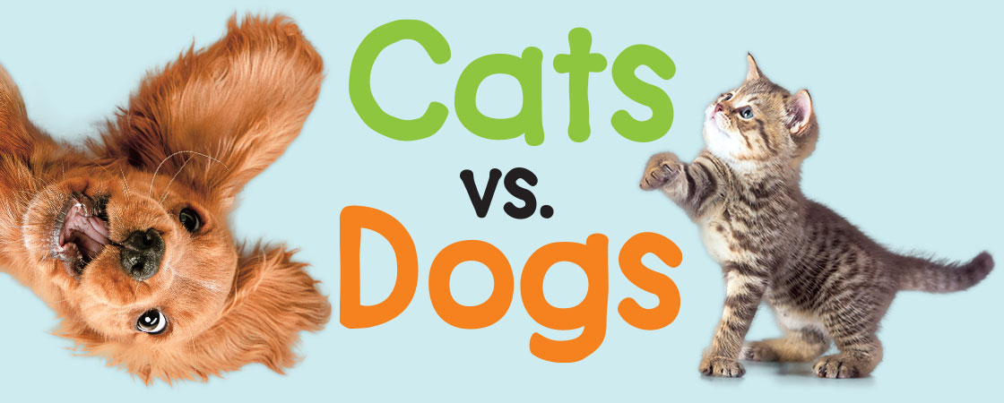 a cat and a dog. Text reads: Cats vs. Dogs