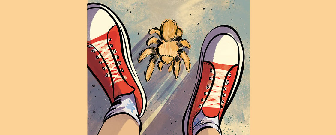 Illustration of a tarantula by a pair of shoes