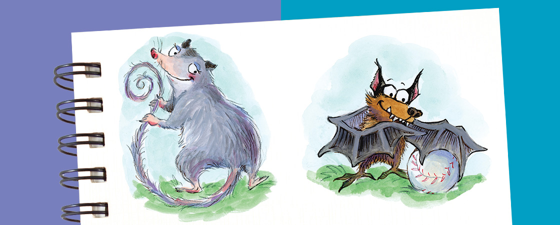 Illustration of possum and bat with baseball